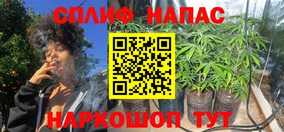 сатива Дубна