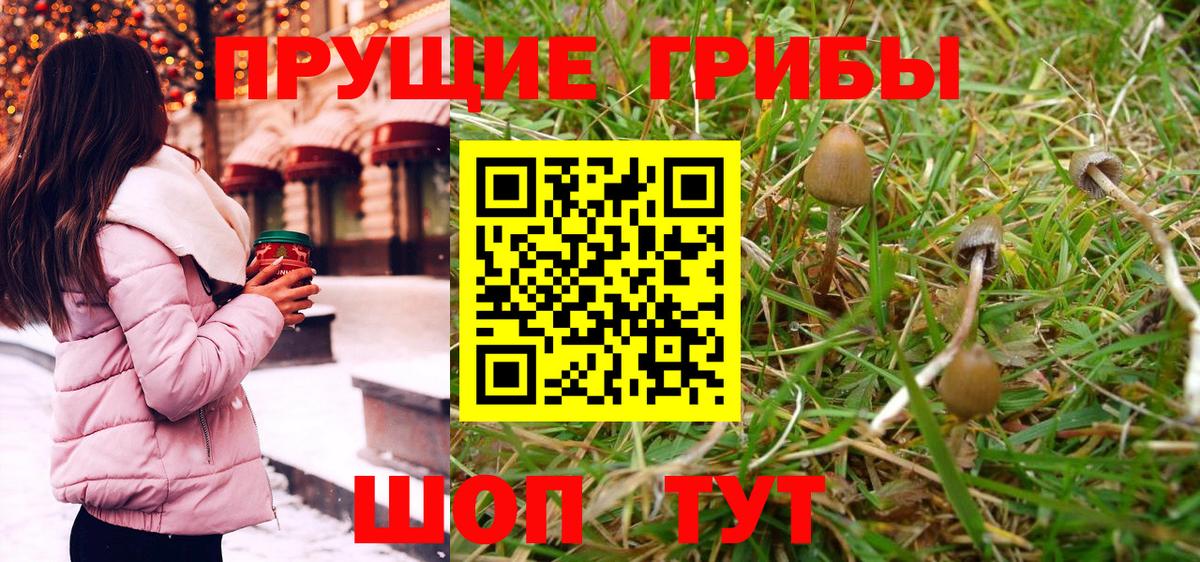 Мелеуз  Галлюциногенные грибы Psilocybine cubensis  Вход с VPN 